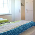 Fehlberg Apartamento